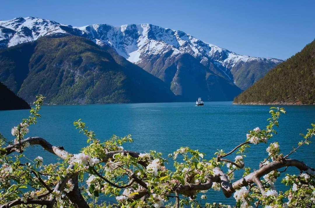 Nedre Amla Fjord Apartment Kaupanger Dış mekan fotoğraf