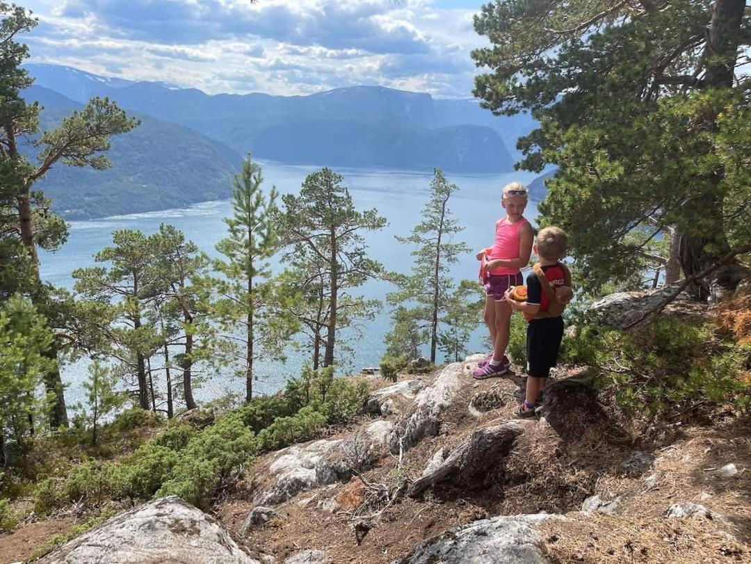 Nedre Amla Fjord Apartment Kaupanger Dış mekan fotoğraf